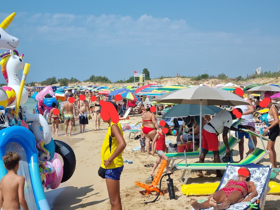 Spiaggia Pescoluse景点图片