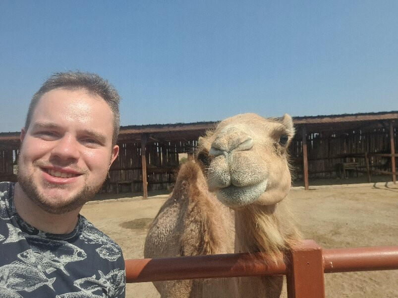 Camel Park Sunny Beach景点图片