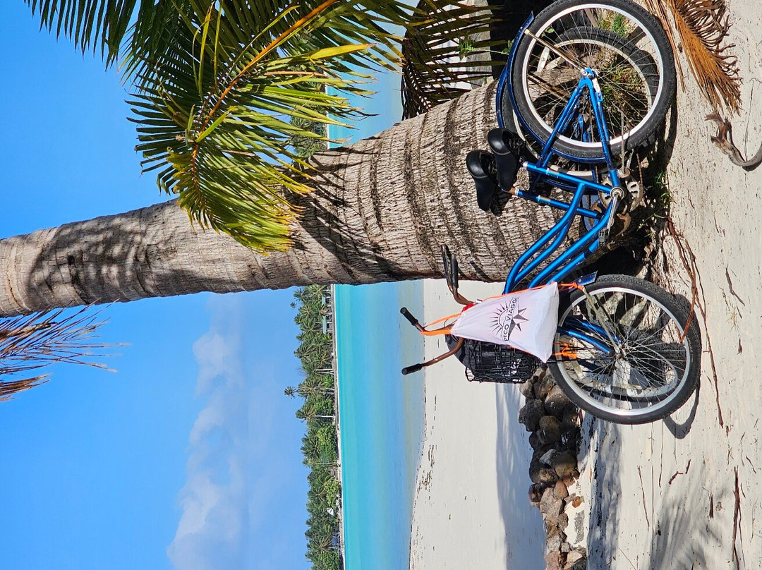 Pension Tautiare Village主图