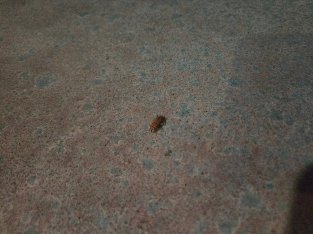 Kalani Retreat Center主图