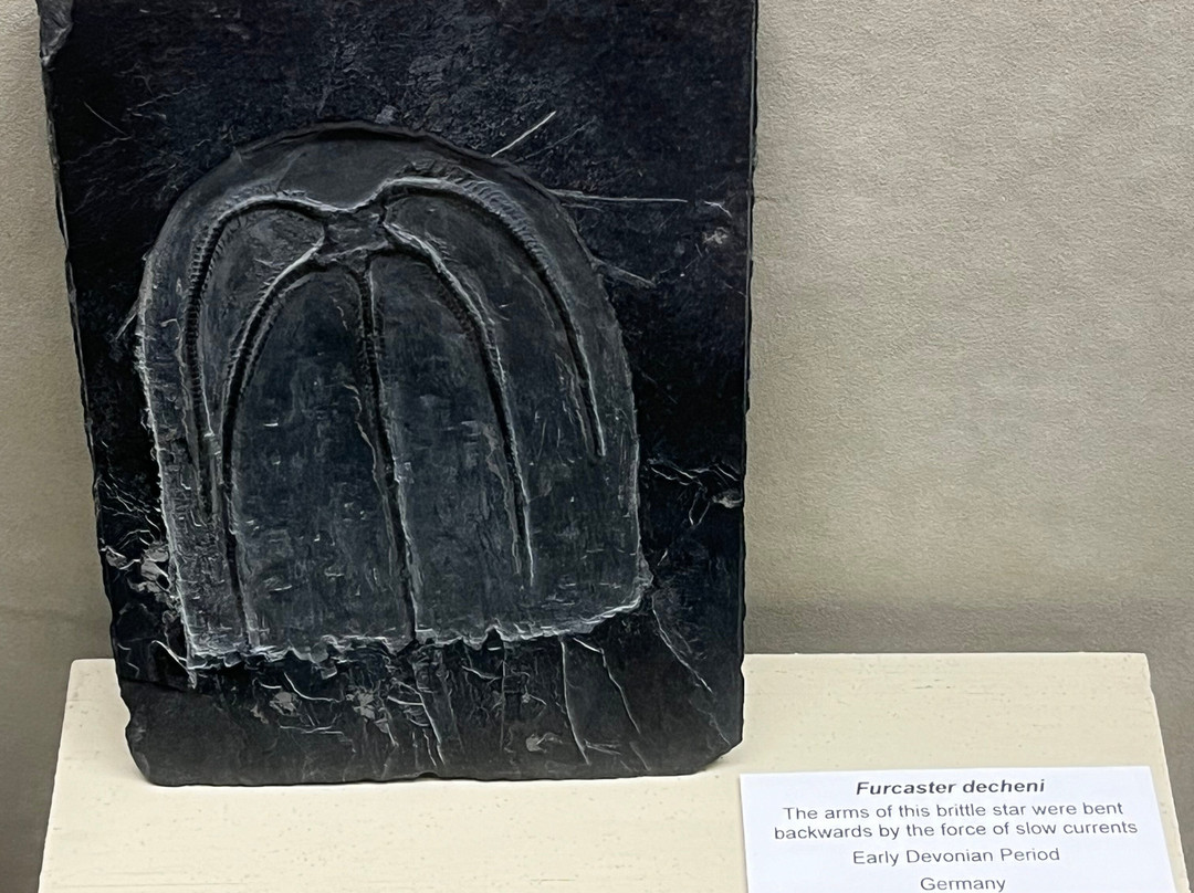 University of Wisconsin Geology Museum-麦迪逊必去景点