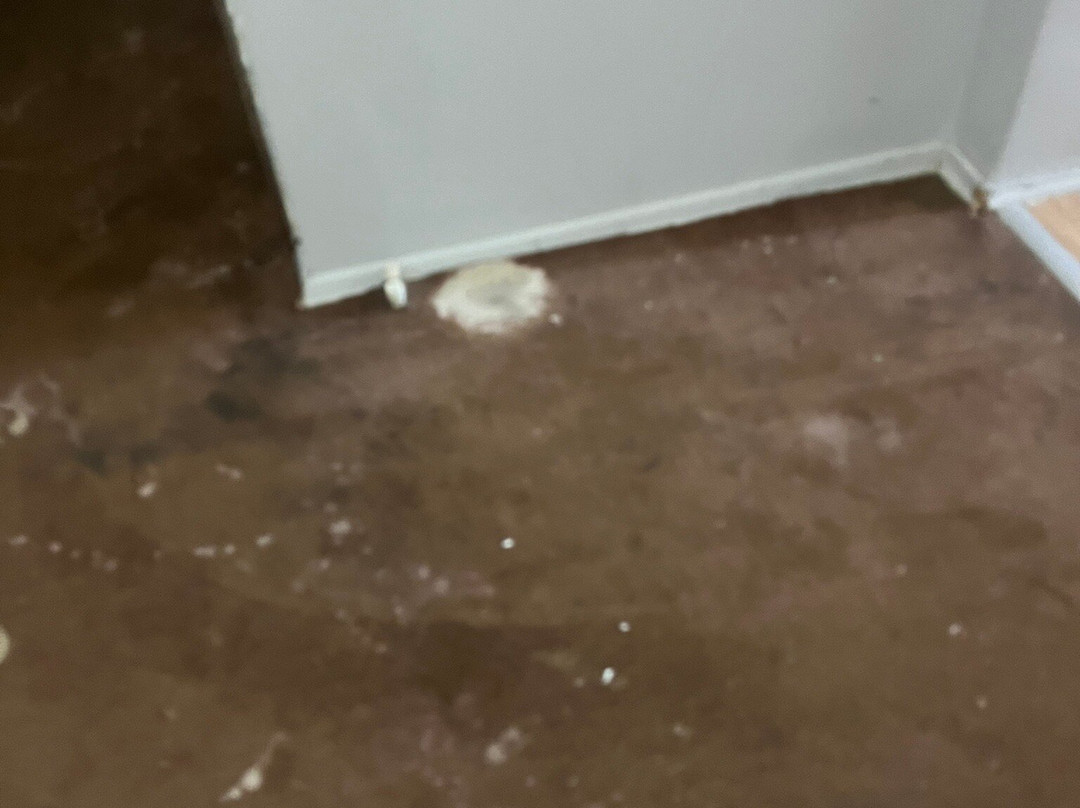 New Hotel Samsun主图