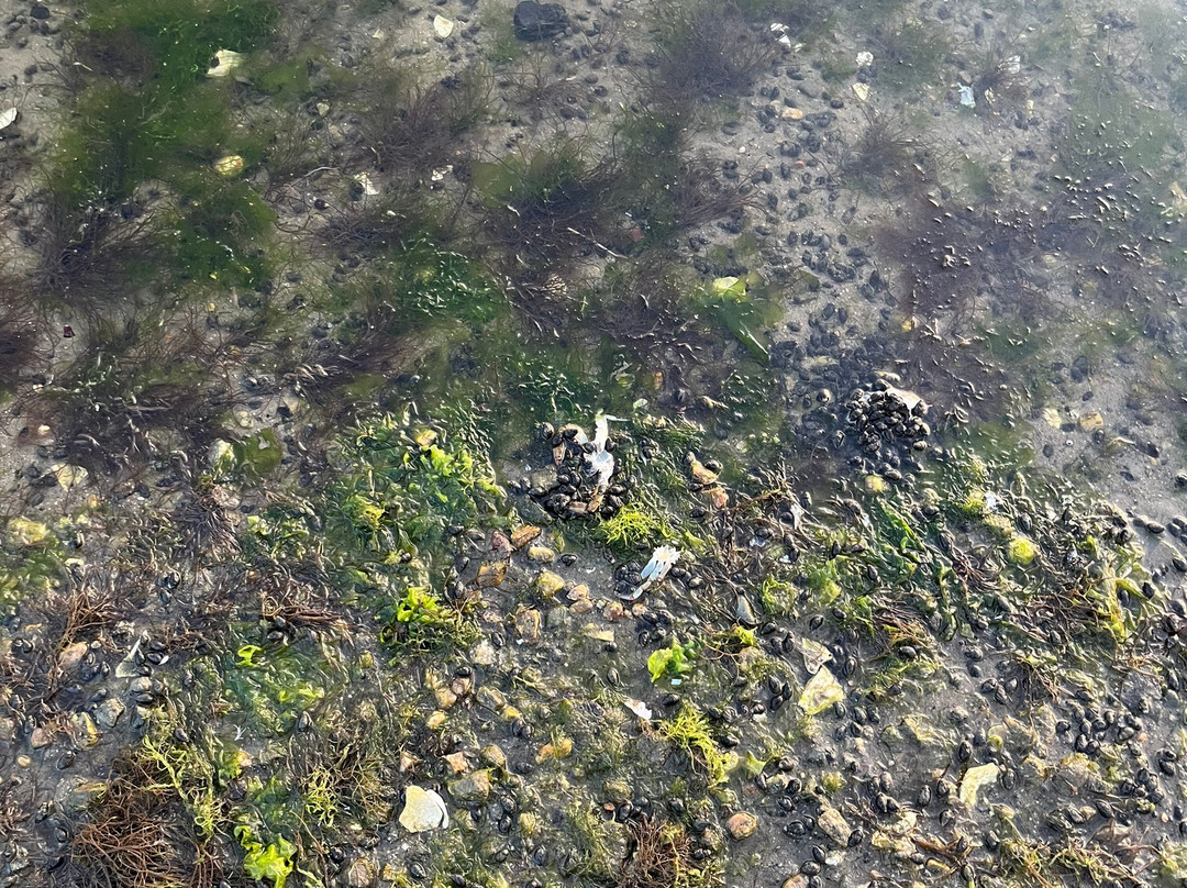 Oakland Beach-沃威克必去景点