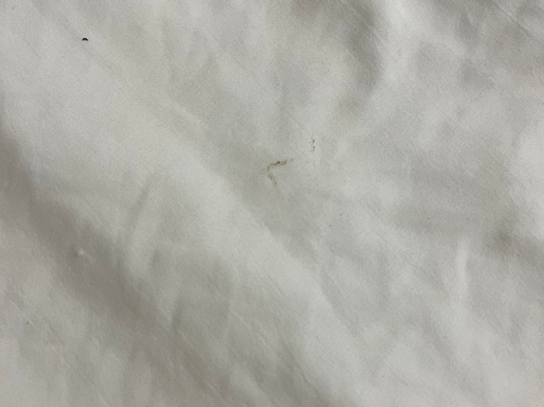 Travelodge by Wyndham Livingston主图