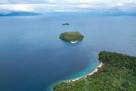Coral Reef Safari - Verde Island Passage-葡多咖蕾拉必去景点