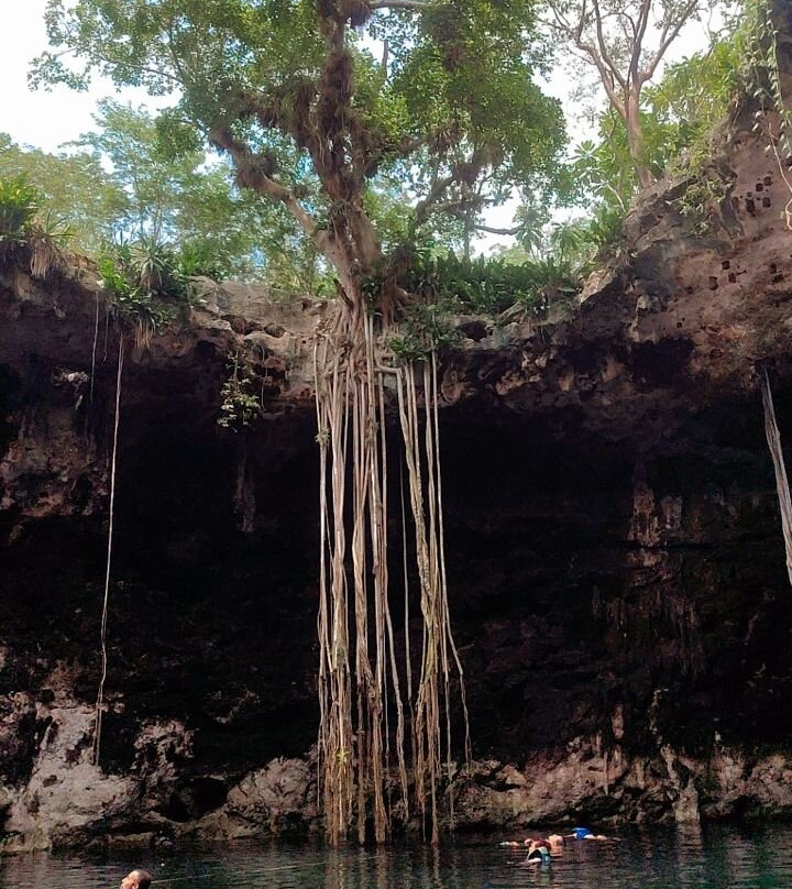 Kuxtal Tours-梅里达必去景点
