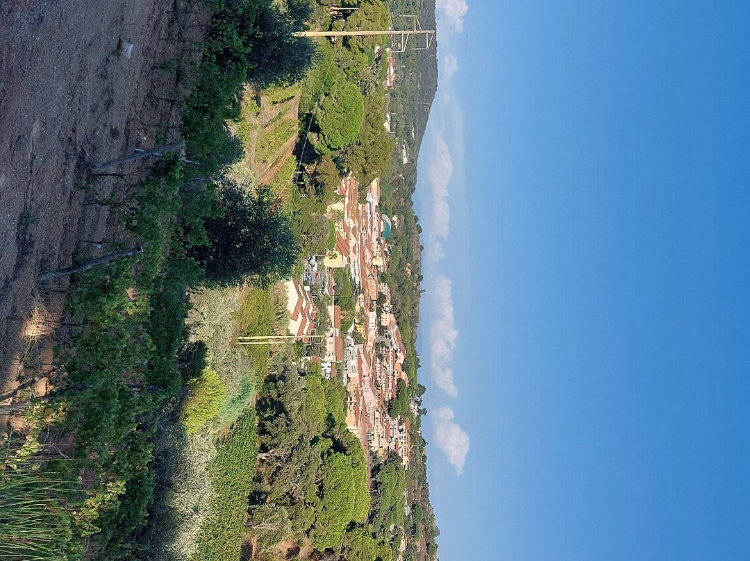 Azienda Agricola Arrighi景点图片