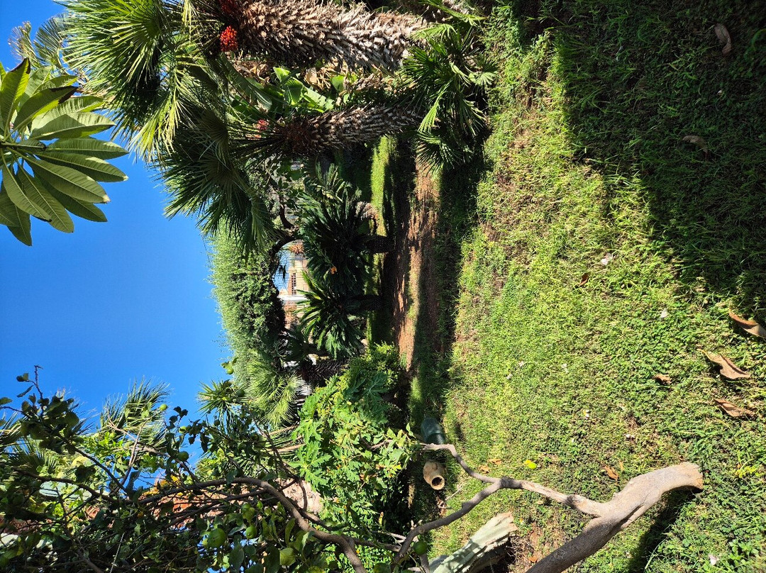 Villa Francesco主图