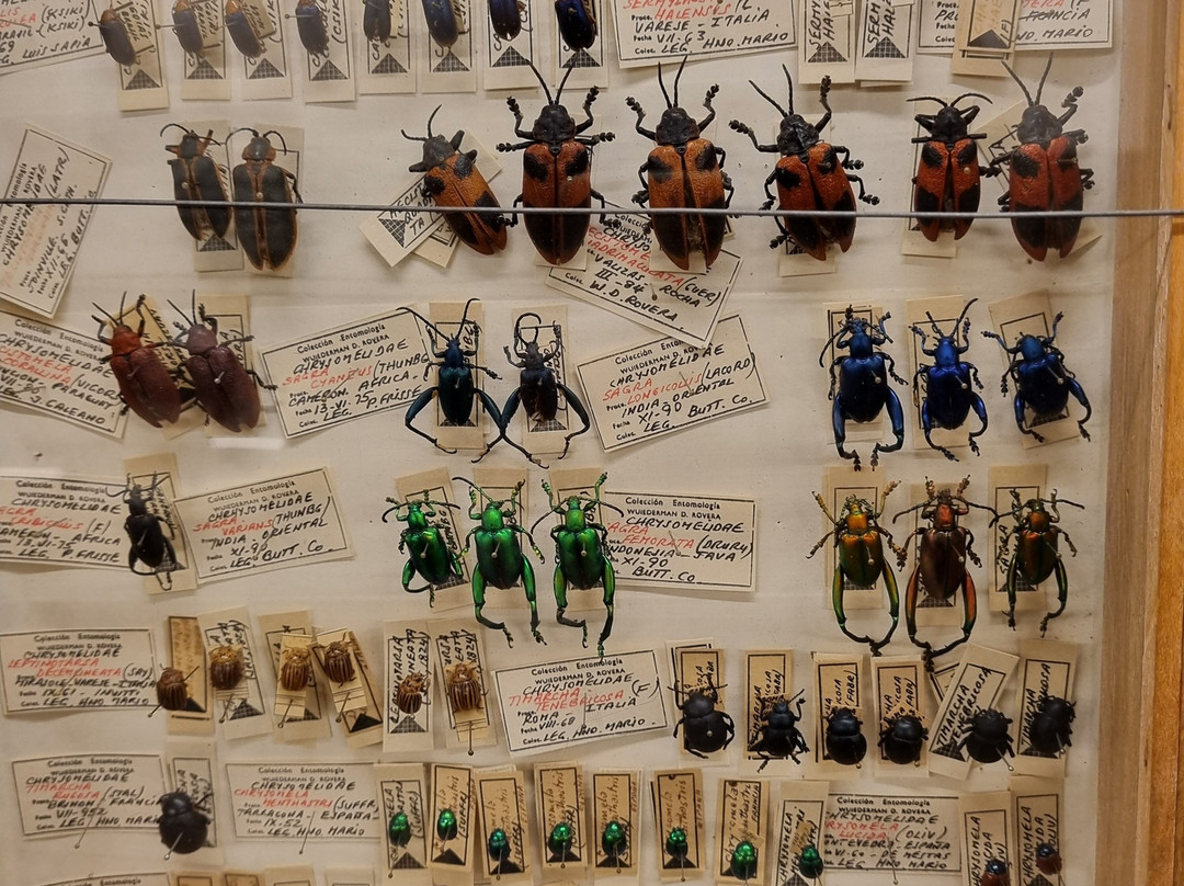 海洋博物馆-La Barra必去景点