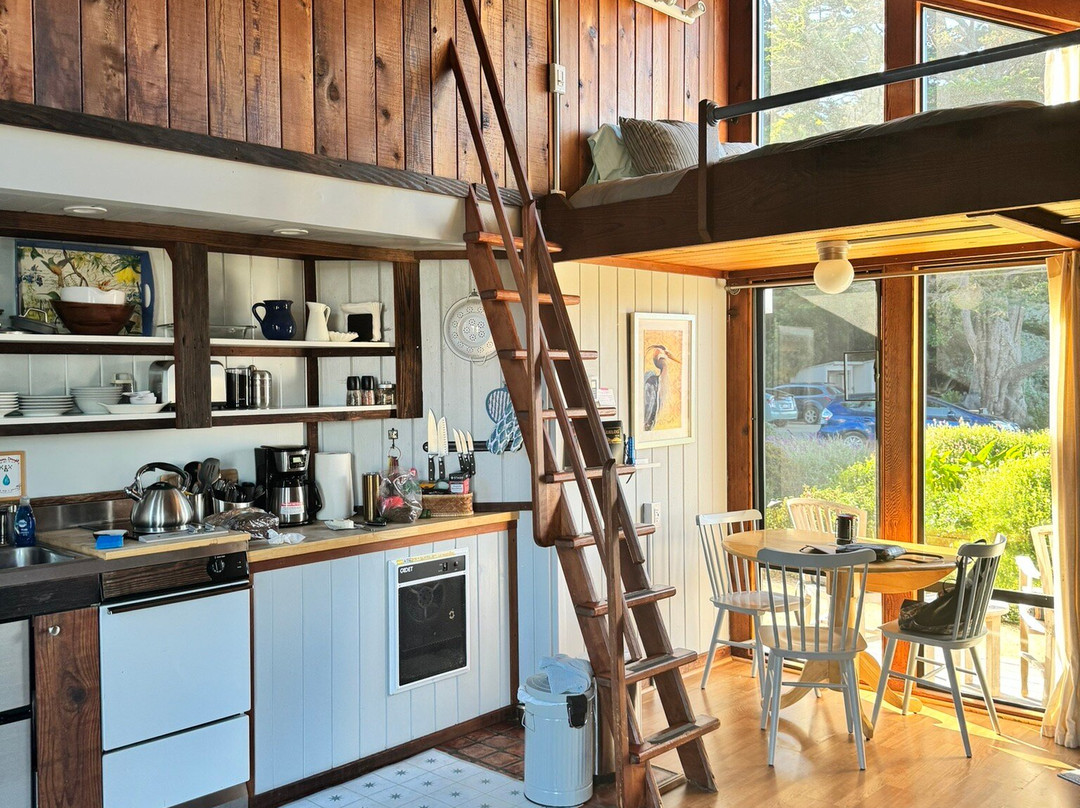 Dancing Coyote Beach主图