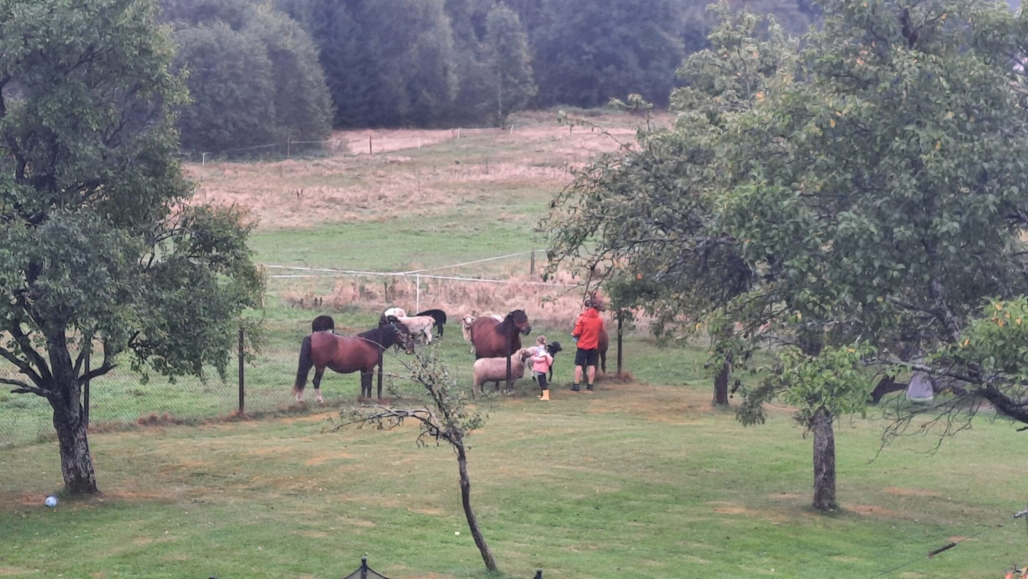 Gorska Lesniczowka-官方