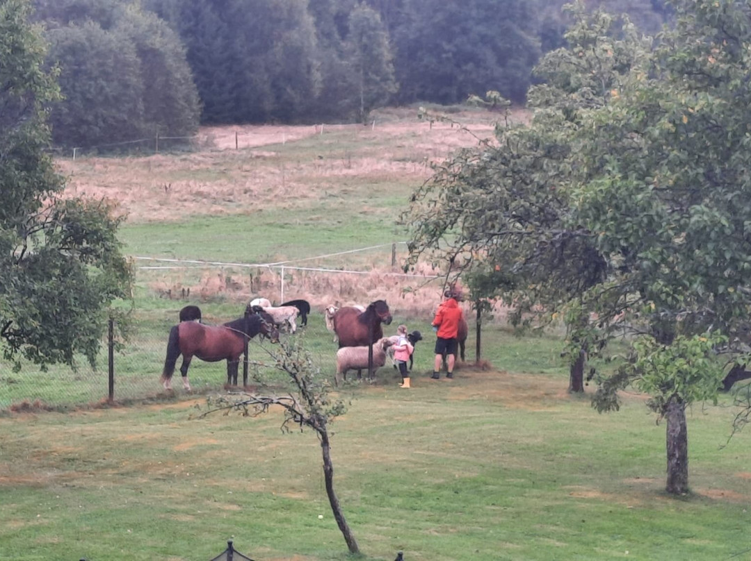 Gorska Lesniczowka主图