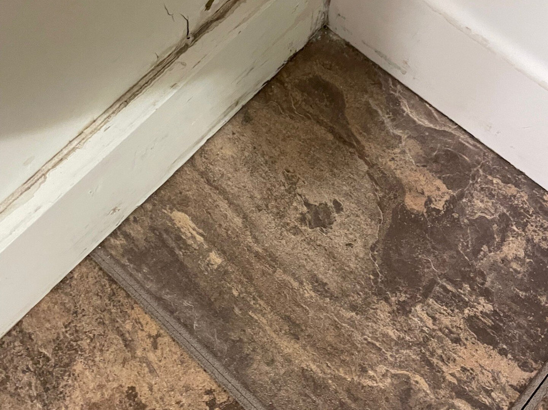 The Copper Swan主图