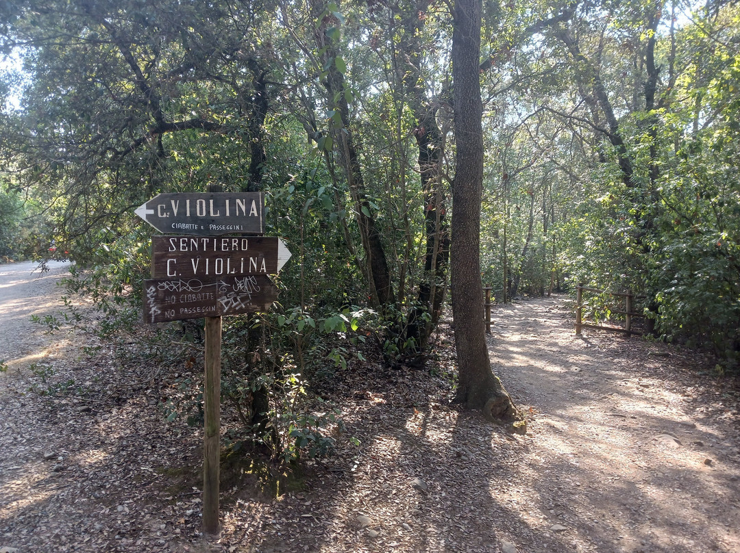 Cala Violina景点图片