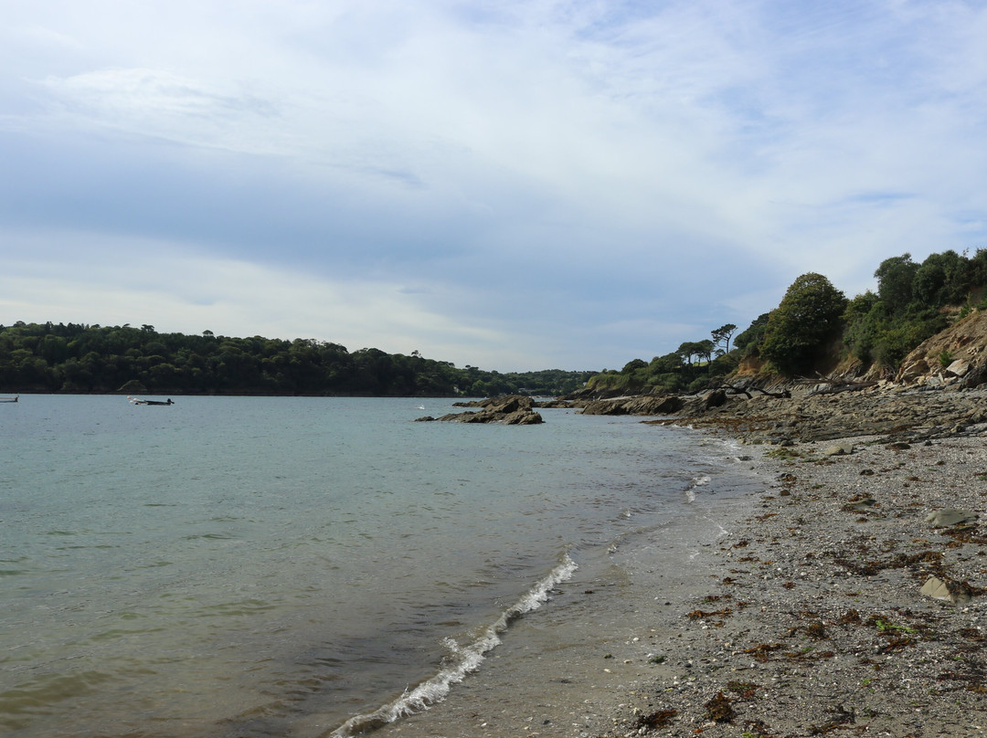 Helford Short Walks景点图片