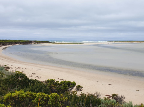 Estuary Beach-Nelson必去景点