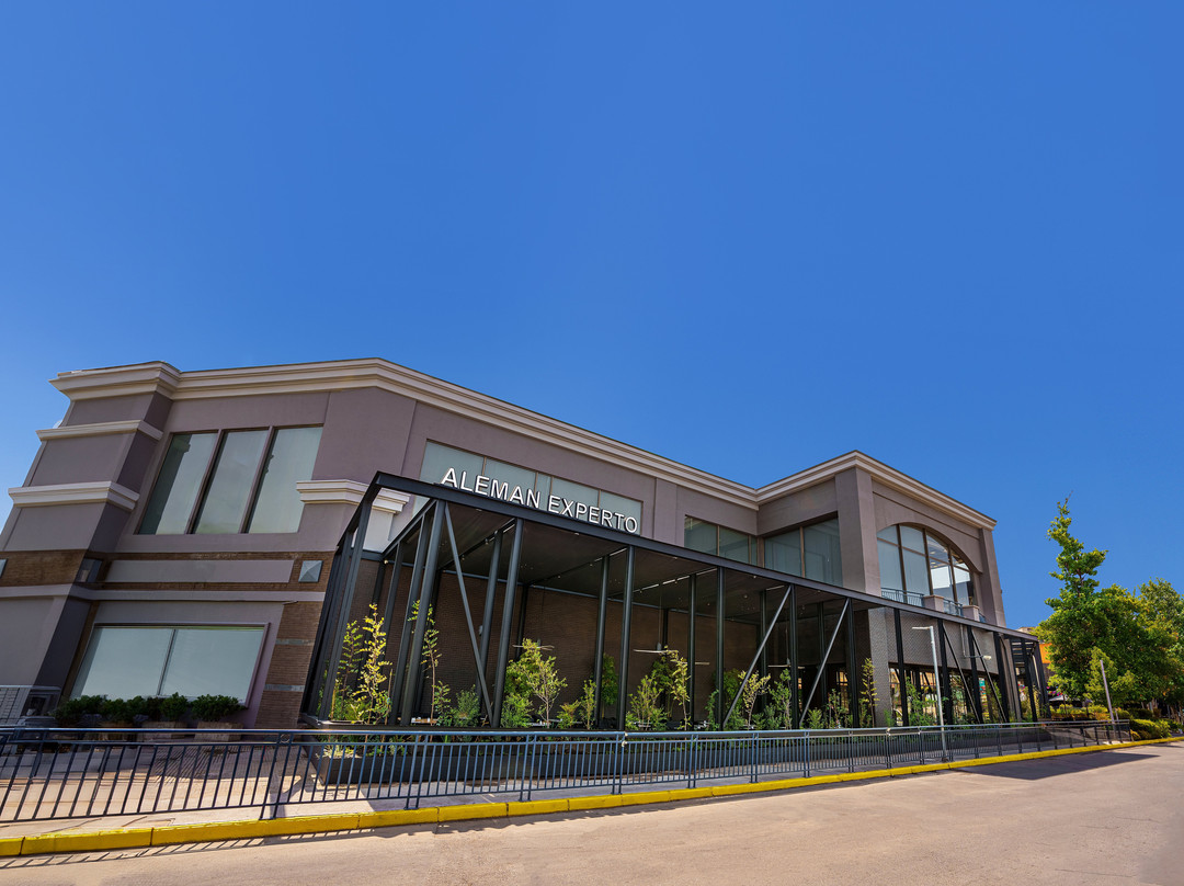 Alemán Experto Mall Paseo Qulín