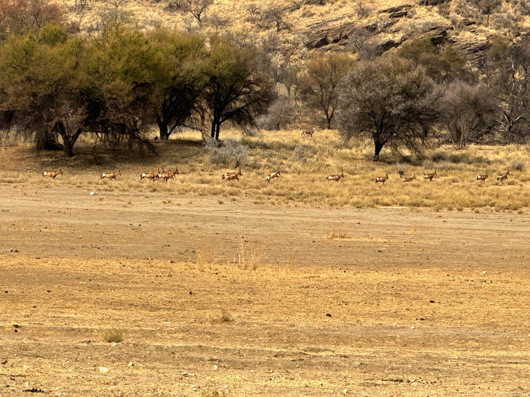Mountain Bike Namibia