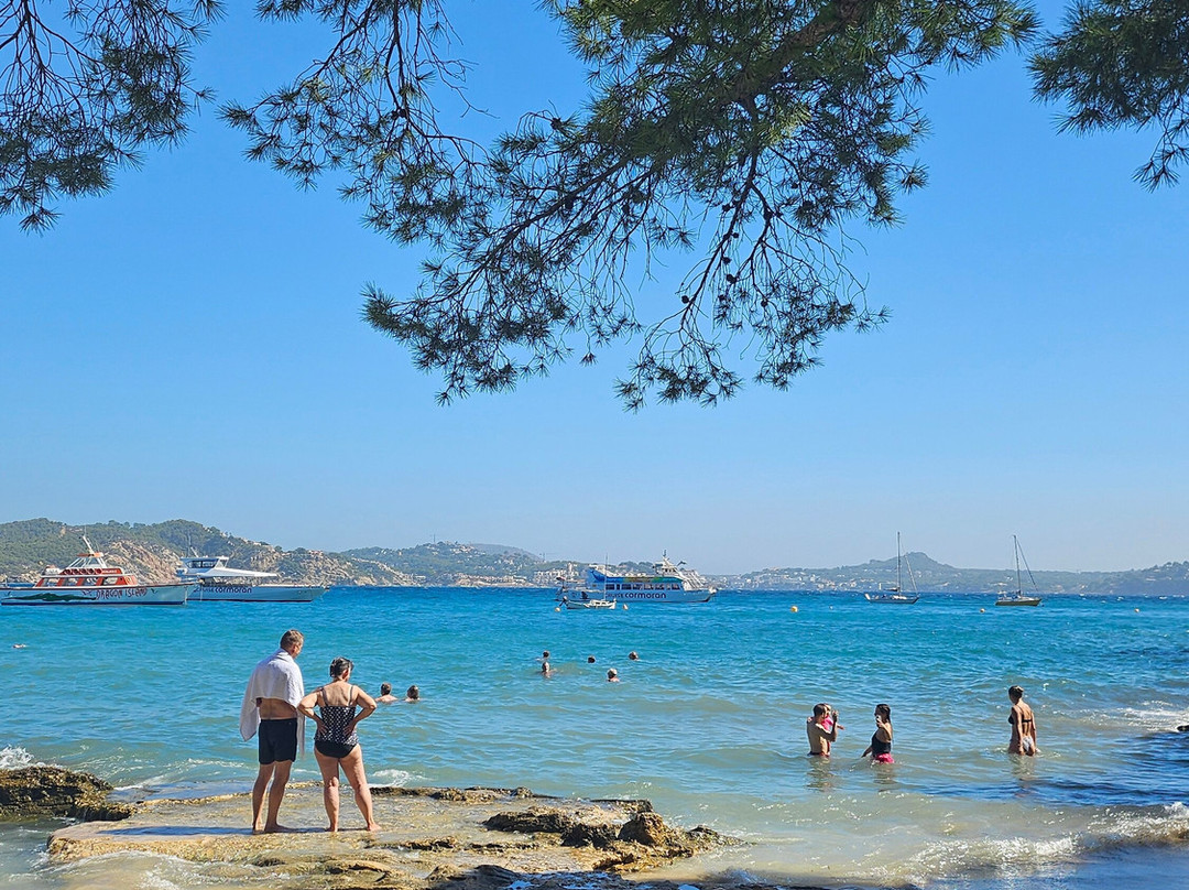 Carrer Cala Fornells景点图片