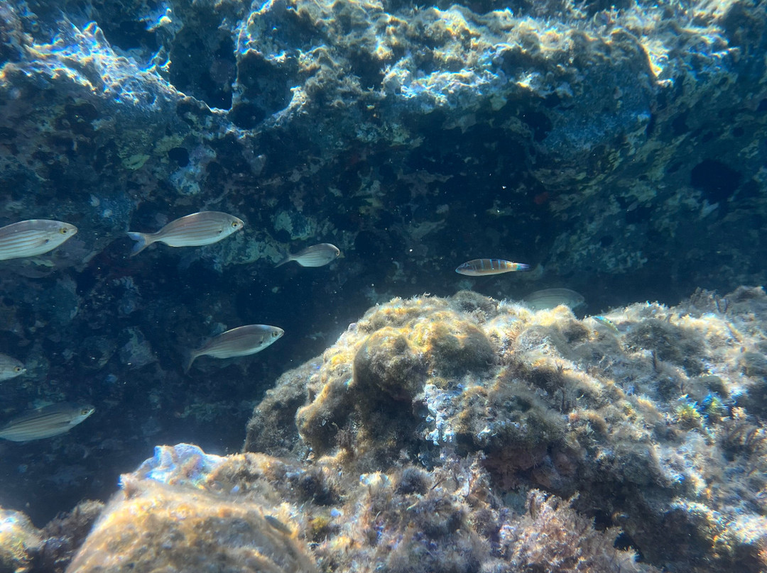 Black Rock Dive Centre-Skala Eresou必去景点
