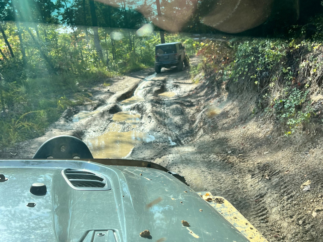 Rock Bottom Adventures Llc-Campton必去景点