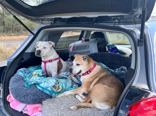 Dooley's Tavern & Motel Capella主图