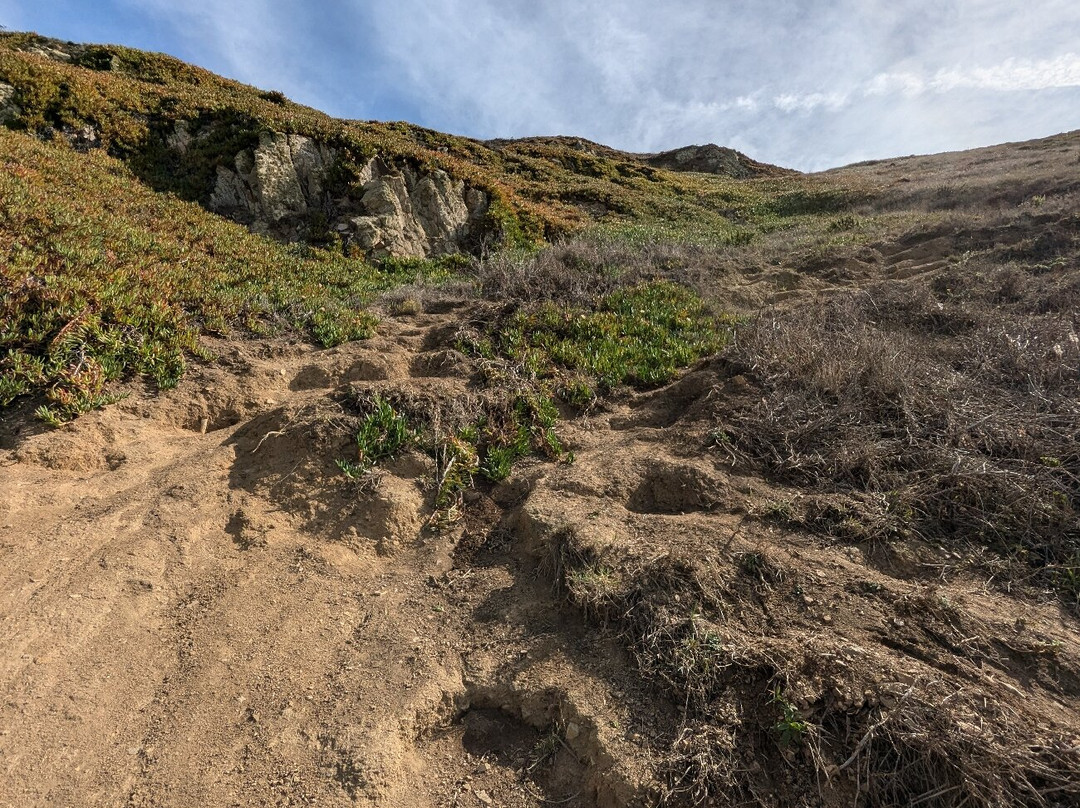 Praia da Aroeira景点图片
