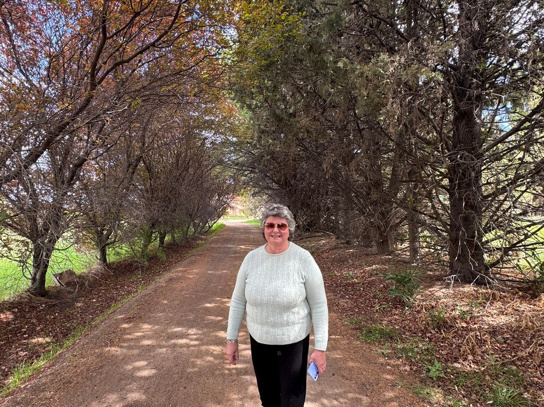 Posada Los Mimbres主图