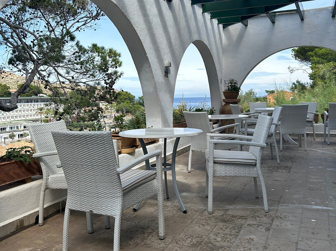 Hostal Los Pinos主图