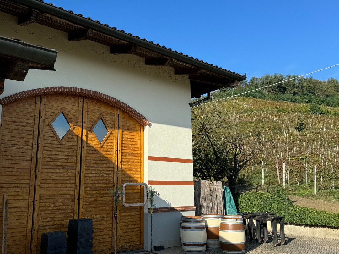 Drocco Luigi Az. Agricola景点图片