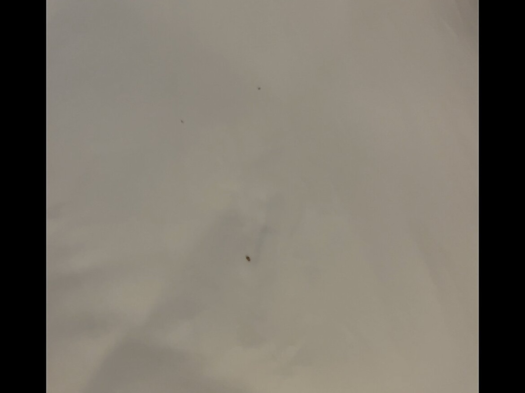 Fairfield by Marriott Inn & Suites Lumberton主图