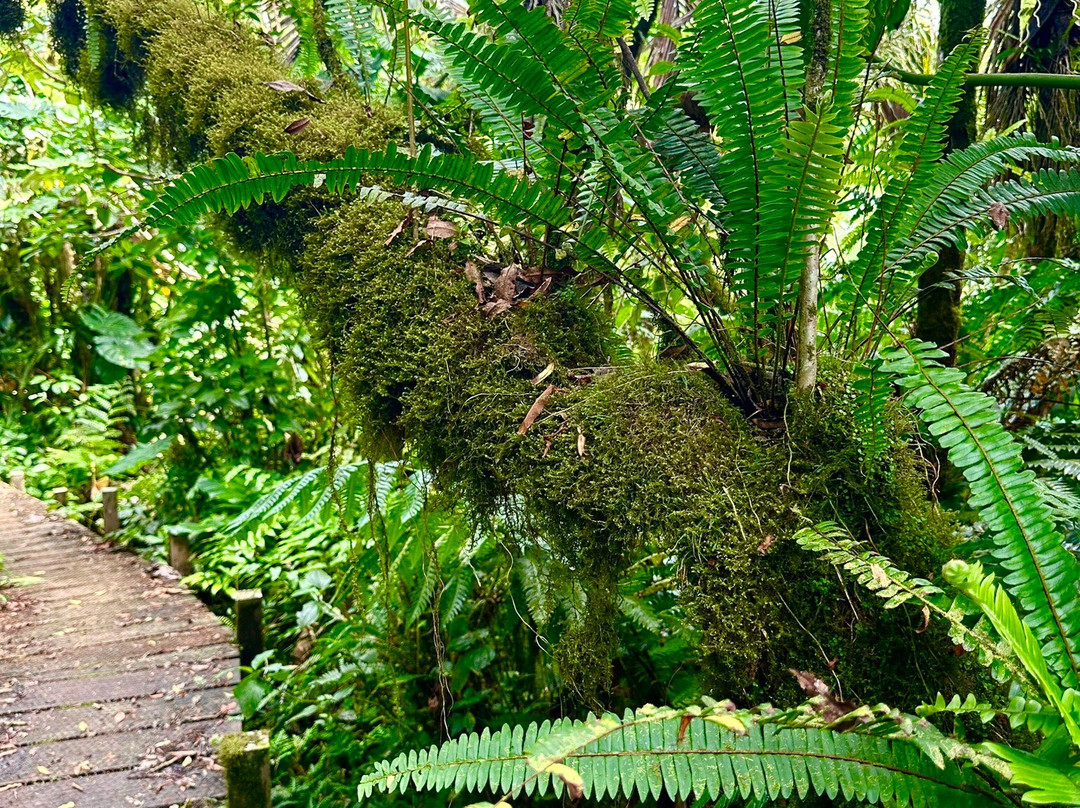 Mount Scenery-Windwardside必去景点