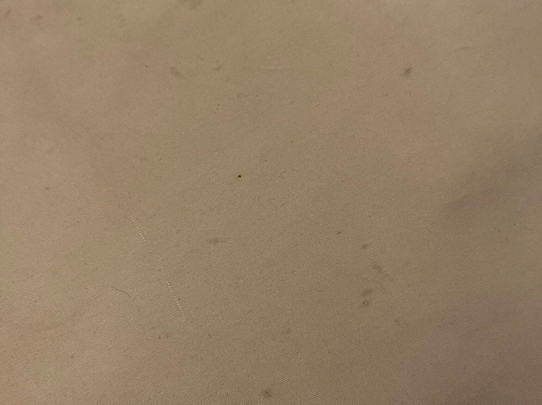 Comfort Inn & Suites Decatur-Forsyth主图