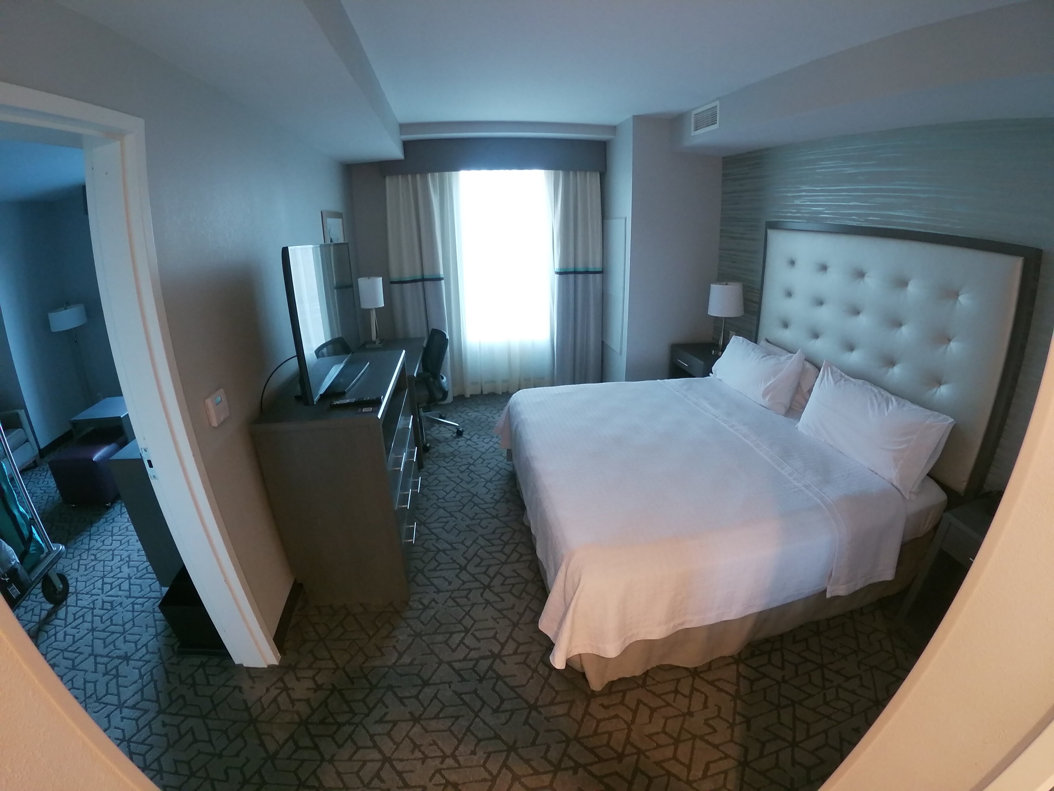Homewood Suites by Hilton Allentown Bethlehem Center Valley-客卧