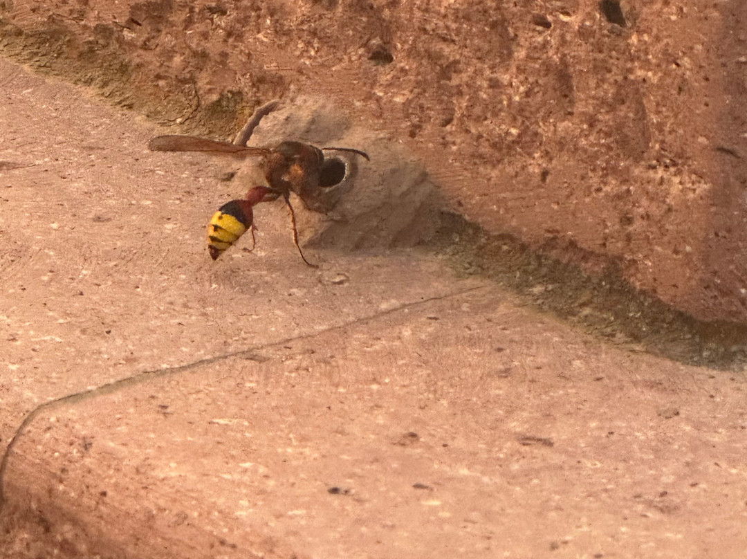 Christina's Garden主图