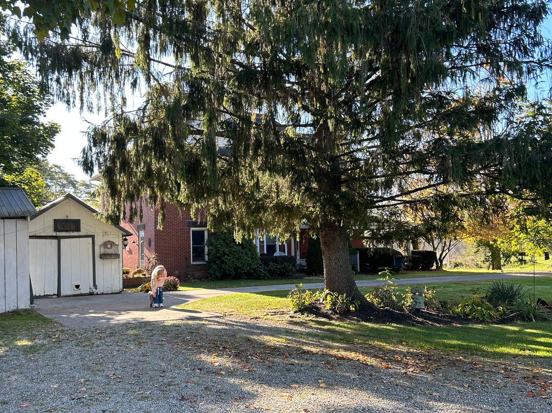 Somewhere in Time Bed and Breakfast主图