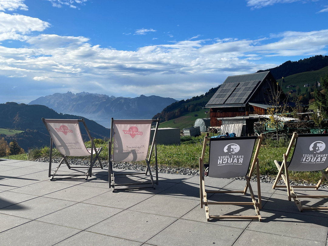 Jufa Hotel Laterns - Klangholzhus主图