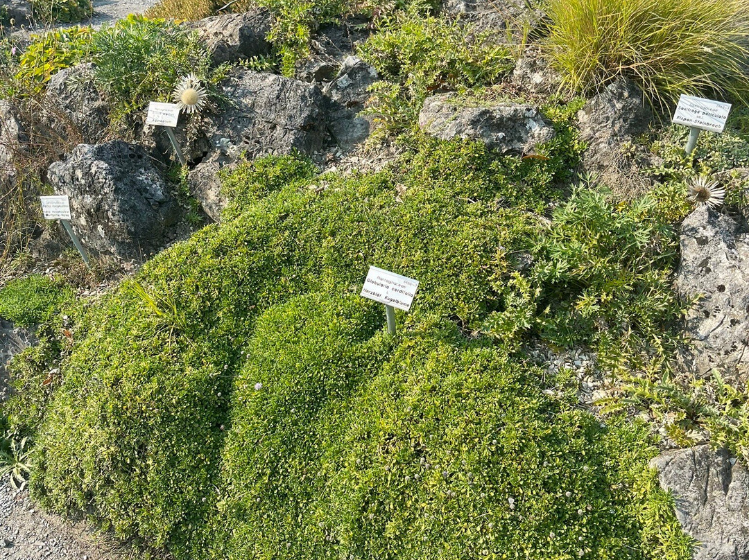 Botanical Garden Münster景点图片