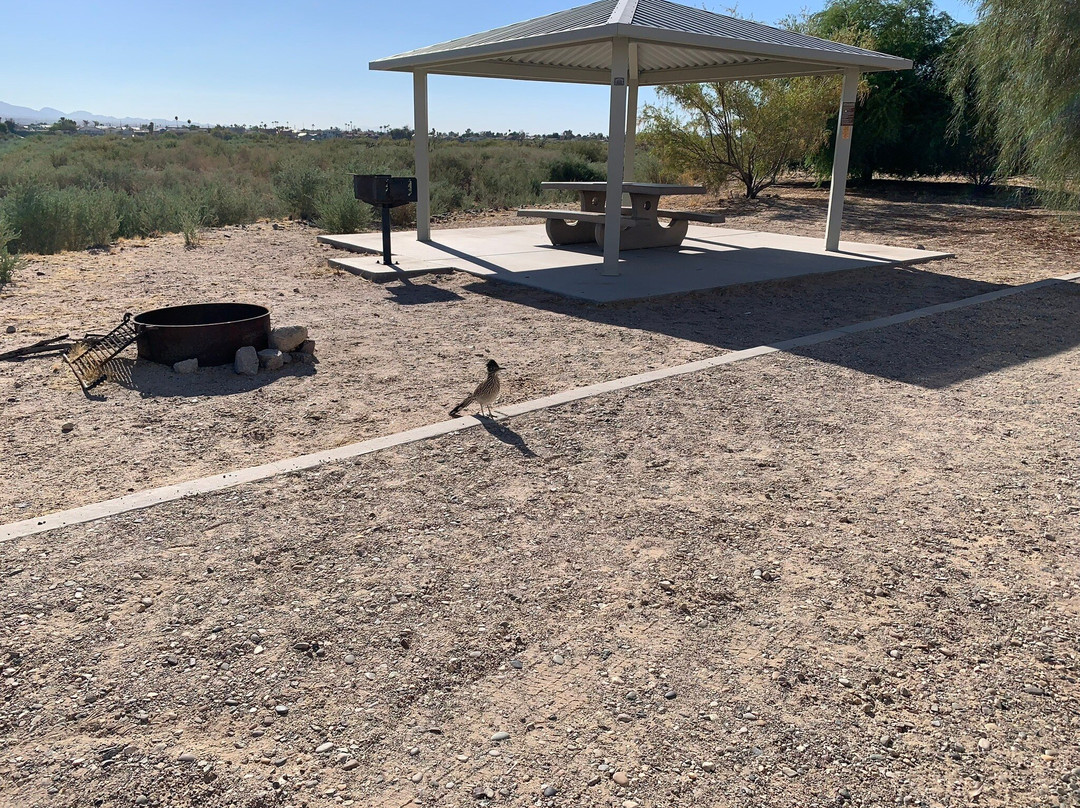 Big Bend of the Colorado-拉芙琳必去景点