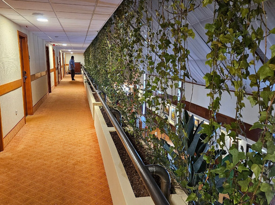 Belenus Thermalhotel Superior主图