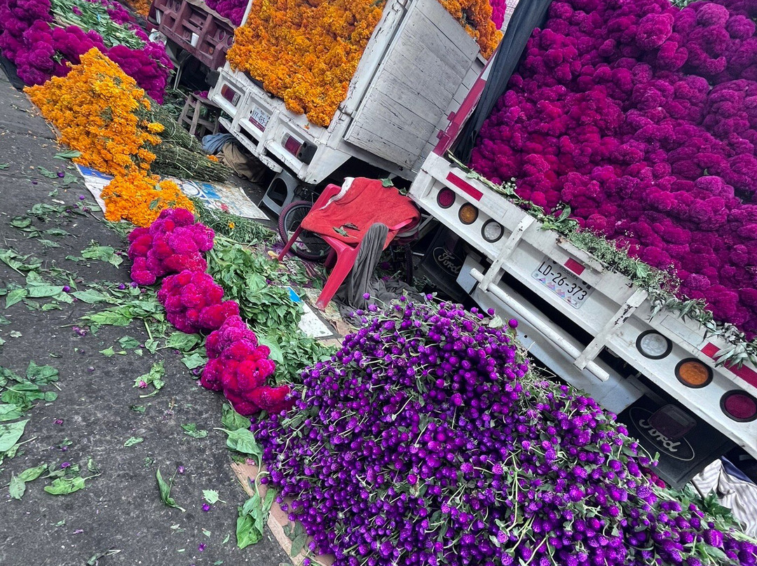 Mercado de Jamaica-墨西哥城必去景点