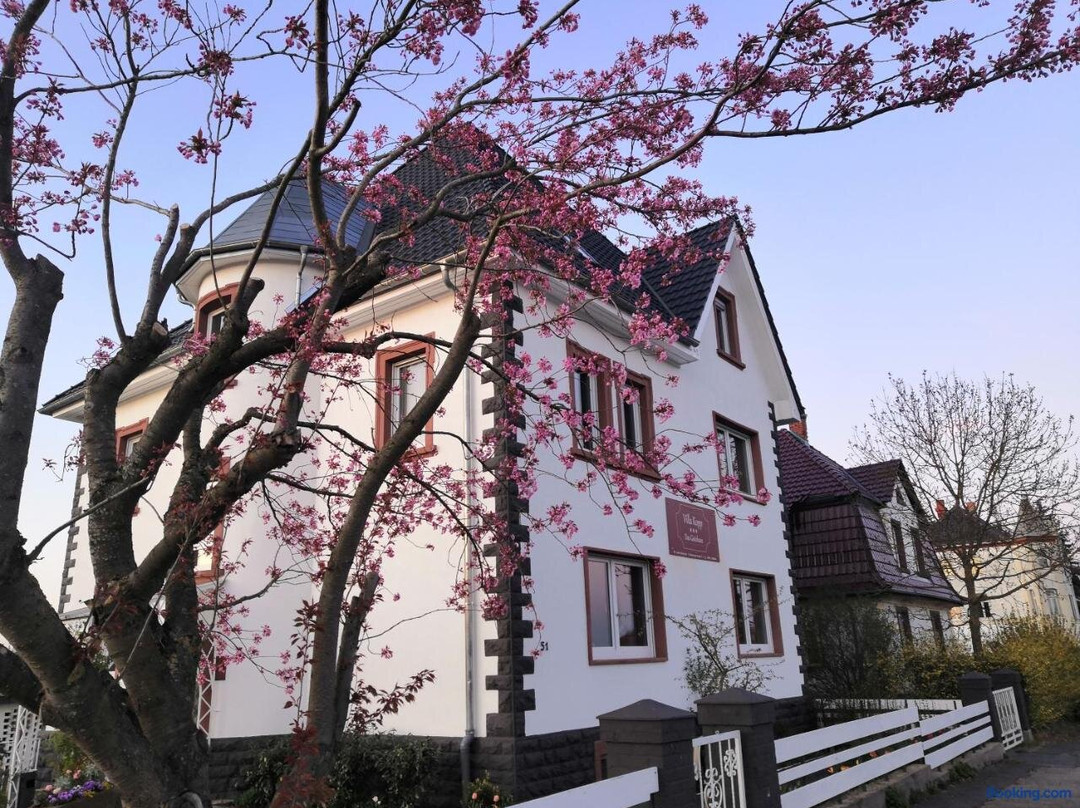 Villa Kopp - Das Gästehaus主图