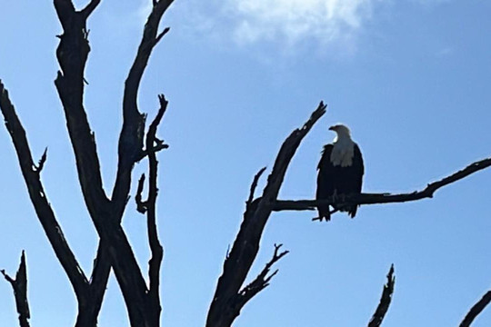Thula Seats-白河必去景点