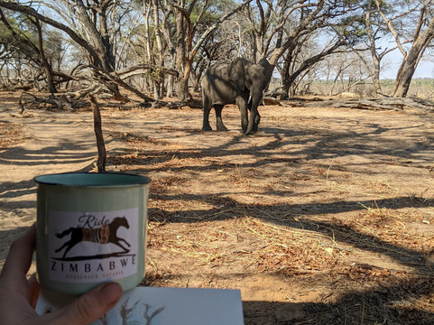 Ride Zimbabwe-布拉瓦约必去景点