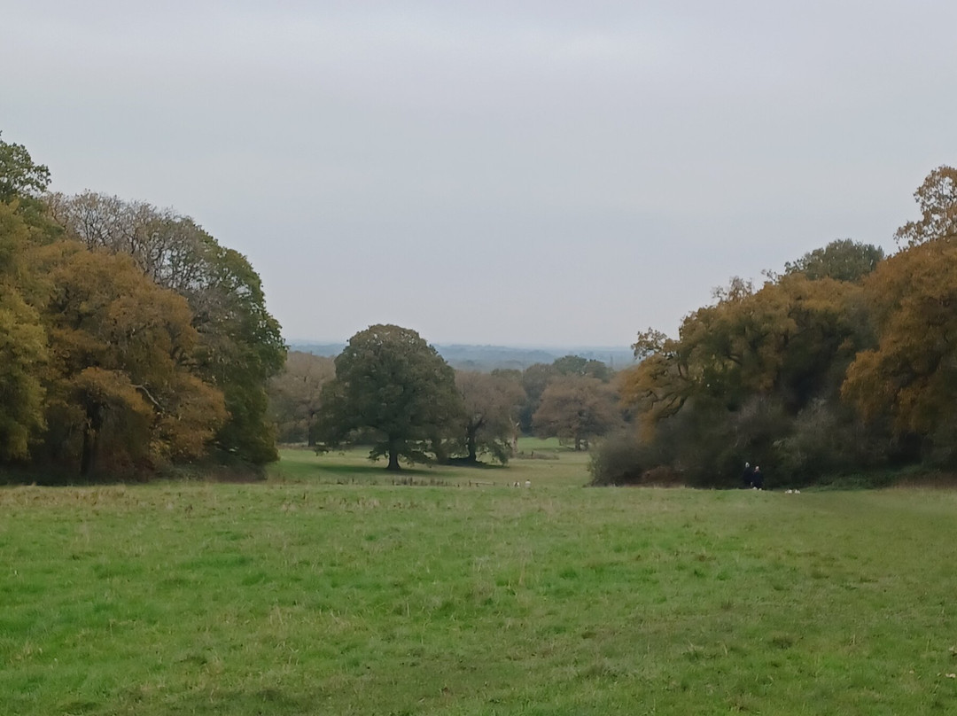 Hatchlands Park NT-吉尔福德必去景点