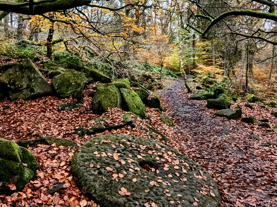 Venture Elements-谢菲尔德必去景点