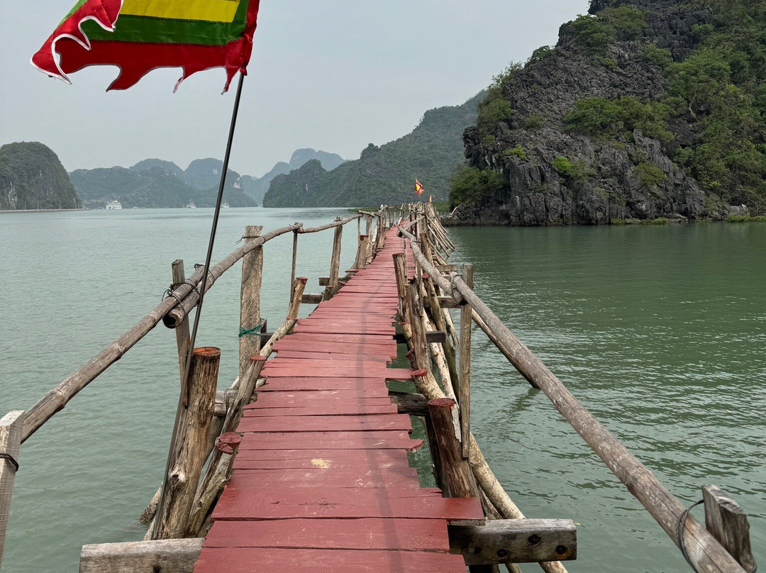 Windy Hill Catba Homestay主图