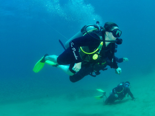 Sea Paradise-费尔南多-迪诺罗尼亚群岛必去景点