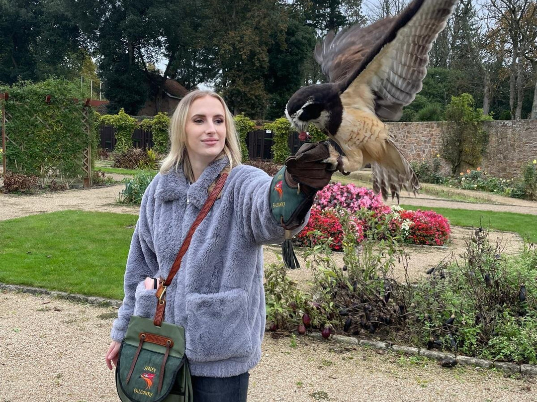 Jersey Falconry-St. John必去景点