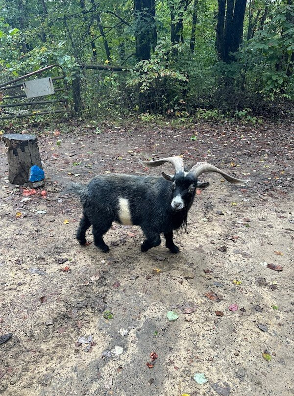 Adventure Pro Rentals-Nelsonville必去景点